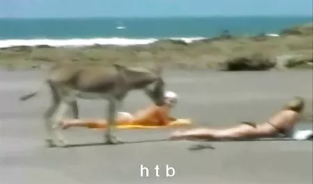 זין חכם סרטי סקס חינם לצפייה ישירה חמוד עם החבר שלה