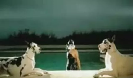 לסביות מטלטלות זו את זו סרטי סקס צפיה ישירה חינם ועושות עבודת רגליים