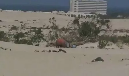המורה פישק סרטי פורנו לצפייה חינם את רגליו מול תלמיד כל כך מהר